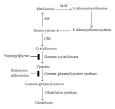 Disulfide Bridge Formation Cysteine To Cystine - Youtube