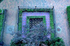 Bagel Garden Boston Ma Usa Martha Schwartz Partners Martha Schwartz Landscape Plaza Landscape Architect