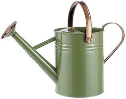 Vintage Style Indoor Metal Watering Can 4 5l Home Garden Flowers Plants Herbs Giardino E Arredamento Esterni Irrigaz Vintage Irrigazione Arredamento Esterno