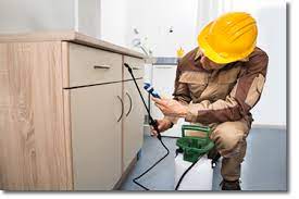 Maple leaf lawn care and pest control marietta ga. Gwinnett Pest Control Lawrenceville Exterminator Termites Duluth Ga Pest Control Services In Dacula Exterminator Buford Ga Exterminating Lawrenceville