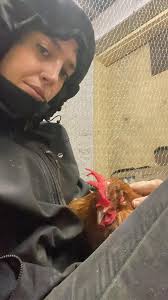 What is wrong with my chicken that shakes her head and makes a clicking  sound while eating and drinking?