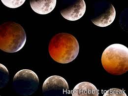 Tata cara sholat gerhana bulan. Perjalanan Mencari Gerhana Pada Tahun 2011 Curiosities 2021