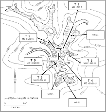 Image result for Swertia usambarensis