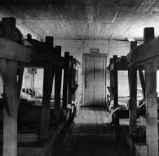 Nächste woche soll nawalny ins straflager überstellt werden. Straflager Solschenizyns Archipel Gulag Ist Hochaktuell Welt