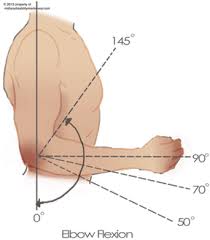 Military Disability Ratings For Elbow And Forearm Conditions