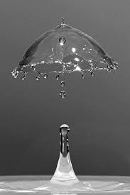 Black And White Umbrella Wallpaper A Drop Of Water Protecting Itself And Making Its Own Umbrella Amazing Photography Water Photography Nature Photography