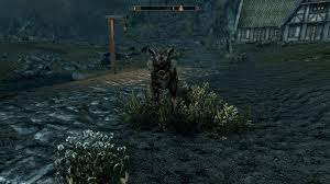 So Appearently Cutting Room Floor Brings Alpha Wolves Back To The Game And I Was Just Looking For A Wild Companion His Eyes Open Up Wildly Like This When He S Running Towards