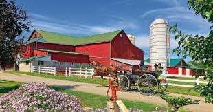 This picture reminds me of a picture my dad sketched. Why Are Barns Painted Red Ohio S Amish Country