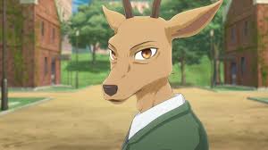 Anthro, beastars, canid, canine, haru, inflation, lagomorph, legoshi, legosi, leporid, wolf Louis Shocking Return Beastars Season 2 Ep 1 Youtube