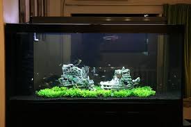 Look For Hidden Treasure With Sunken Ship Aquascapes Cool Fish Tank Decorations Fish Tank Decorations Aquascape