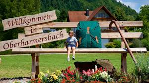 Image result for Black Forest Green 2017 200