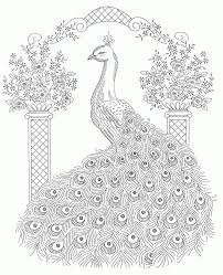 The sword billed hummingbird with its 3 9 inch 10 cm bill is the only bird with a bill that s longer than. Adult Coloring Pages Peacock Coloring Home