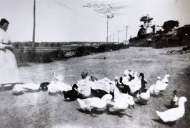 What unearthing odd discoveries tells us about Portland's past