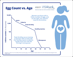 how age affects ovarian reserve and what you can do