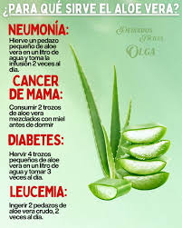 Increibles beneficios del Aloe Vera 🪴