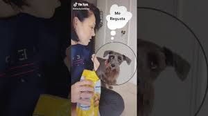 Me Re Gusta La Caca Youtube