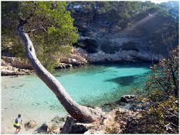 Les Eaux Emeraudes Des Calanques Calanque Image Eau Randonnee