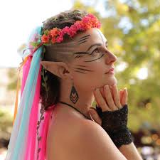 Fans of Carolina Renaissance Festival