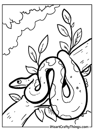 Here we have giraffes, elephants, parrots, big jungle cats, snakes, lions, some jungle scenes and of course a few jungle book coloring pages. Snake Coloring Pages Updated 2021