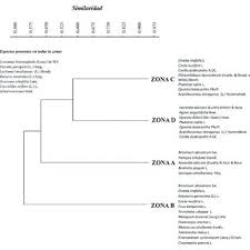 Assista com atenção modder : Agrupacion De Cuatro Zonas De La Bahia De Xpicob Campeche Mexico Con Download Scientific Diagram