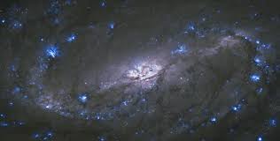 Encontre imagens stock de galáxia espiral barrada na otros nombres del objeto ngc 2608 : Index Php File Ngc 2903 Spiral Galaxy Jpg Wikimedia Commons