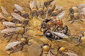 κοινωνία της μέλισσας | Ορεινό Μέλι | Blog