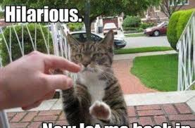 Funny animal pictures are always good for a laugh. Funny Animals Captions Archives Topbestpics Com