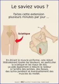 Les jambes participent à la transmission du poids du corps et, plus précisément, de la cuisse à la cheville. 8 Idees De Muscle Piriforme Exercice Etirement Etirement Psoas Exercice Mal De Dos
