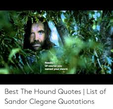 Of thrones beyond the wall hound sansa game of thrones game of thrones wine quotes. Needle Of Course You Named Your Sword Best The Hound Quotes List Of Sandor Clegane Quotations The Hound Meme On Me Me
