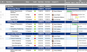 Project Launch Plan Template Smartsheet