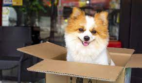 Maybe you would like to learn more about one of these? Best Fresh Pet Food Delivery Services Here Are Our Top 3 Picks