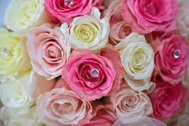 We did not find results for: Miami S Top 3 Florists To Visit Now