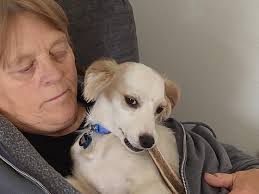 Jacqueline "Jackie" Lee Lambert's Obituary