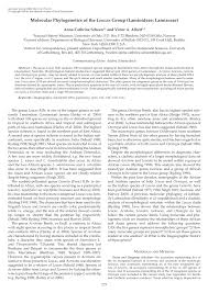 Image result for Leucas sexdentata