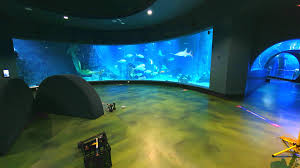 We offer a variety of carpentry and door services. The Wallpaper At Work Is Quite Realistic Doing A Bit Of Carpentry In The Fishbowl At Sealife Melbourne Love My Job Every Day Is A New Adventure Aquariums