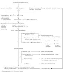 Evaluation Of Asymptomatic Microscopic Hematuria In Adults