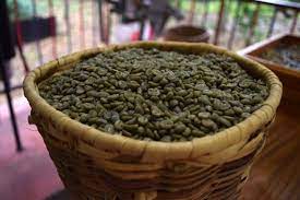 Maybe you would like to learn more about one of these? Caffe Verde Cos E E Come Si Prepara
