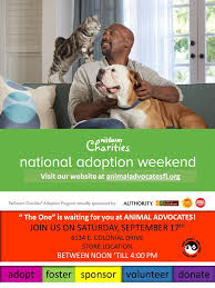 Maybe you would like to learn more about one of these? Petsmart Of Orlando Petsmart307 Twitter