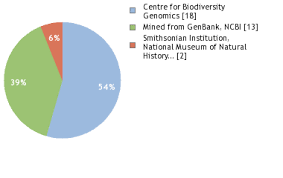 Image result for Crossopetalum mossambicense