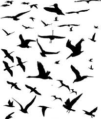 Bird In Flight Silhouette Clip Art 1000 Images About Tattoo Flying Birds Birds And Tat Clipart Best Clipart Best Bird Silhouette Flying Bird Silhouette Bird Outline