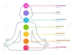 Chakras Infographic Chart In Simple And Modern Flat Style Male
