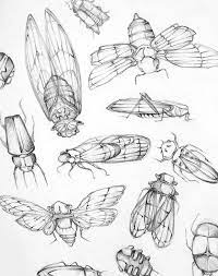 Pin On P A P E R Arts By Nonstop