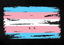 Pink and blue represent the traditional colours for baby boys and girls, repeated and reversed, whilst white covers. Trans Flag Poster By Christian Strang Displate