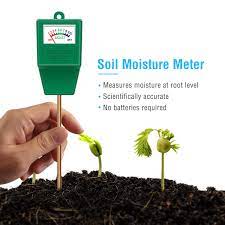 Pin On Gardening
