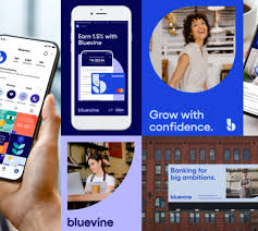 Bluevine announces its next-gen brand identity, reflecting the company's  growth and evolution | Bluevine