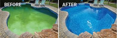 Pourquoi L Eau De Ma Piscine Est Elle Verte