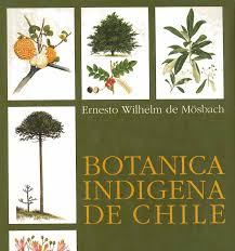 La pista de clarin crucigrama planta liliacea de flores grandes y hermosas se ha publicado 6 vezveces y tiene 1 unicas respuestas en nuestro sistema. Http Www Memoriachilena Gob Cl Archivos2 Pdfs Mc0027380 Pdf