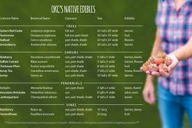Use the links at the bottom of this page to navigate these edible weeds (listed in alphabetical order). Branch To Mouth Growing Native Edibles In Your Home Garden Edible Oklahoma City