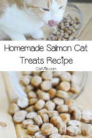 Pin On Diy Dog Recipes