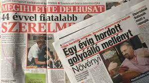 Ebugatta kutya nap gödöllő 2015. Novenyi Norbert Hirek Cikkek A Velveten